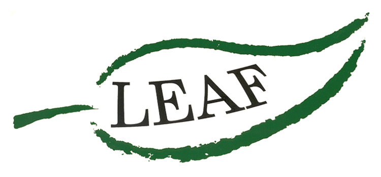 Leaf